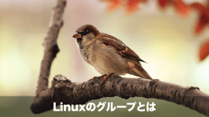 Linuxのグループとは
