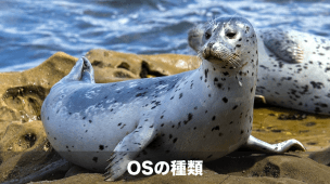osの種類