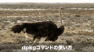dpkgコマンド