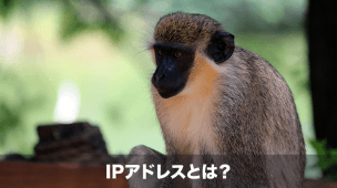 ipアドレス