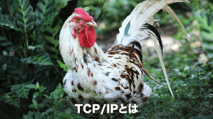 tcpipとは