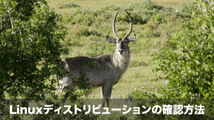 Linuxディストリビューションの確認方法