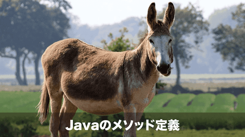javaのメソッド定義