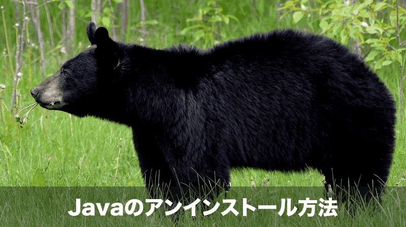 javaのアンインストール方法