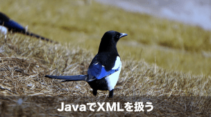java xml