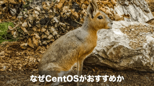なぜ初心者にCentOSがおすすめか