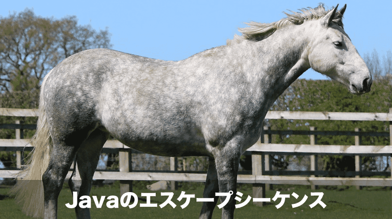 javaのエスケープシーケンス