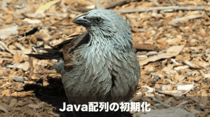 java配列の初期化