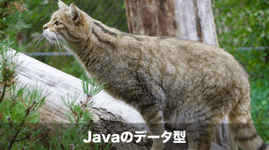 Javaのデータ型