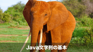 java文字列の基本