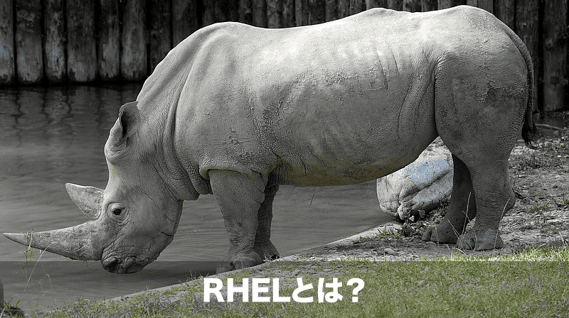rhelとは