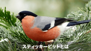 スティッキービット