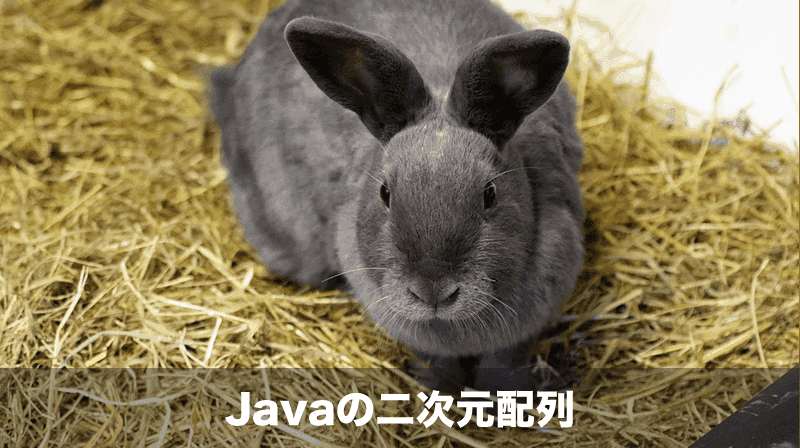 javaの二次元配列