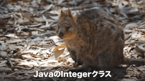 javaのintegerクラス