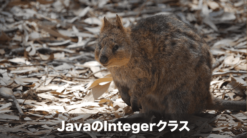 javaのintegerクラス