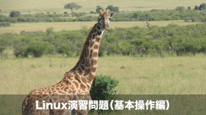 linux演習問題 基本操作編