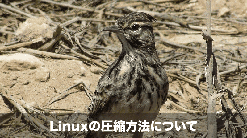 linuxの圧縮方法