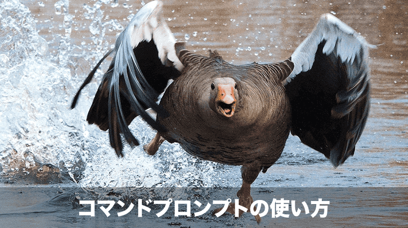 コマンドプロンプトの使い方