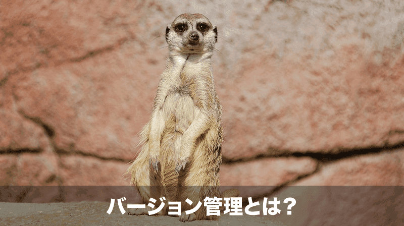 バージョン管理とは？