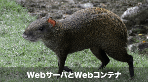 WebサーバとWebコンテナ