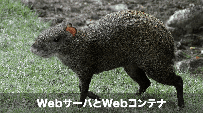 WebサーバとWebコンテナ