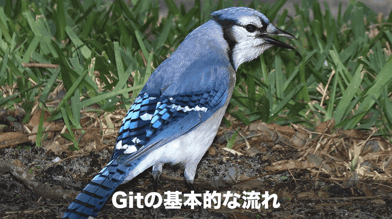 gitの基本的な流れ