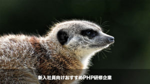 PHP研修企業 トップ画像