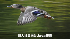 java_training