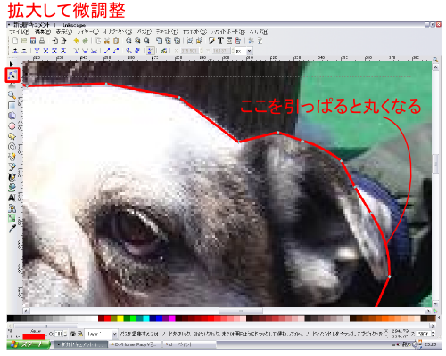 ����Ɋg��