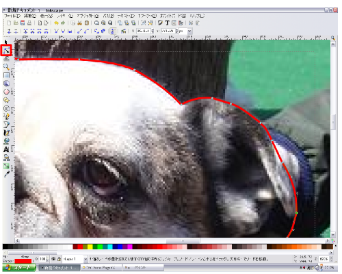 �L���C�ɔ�����