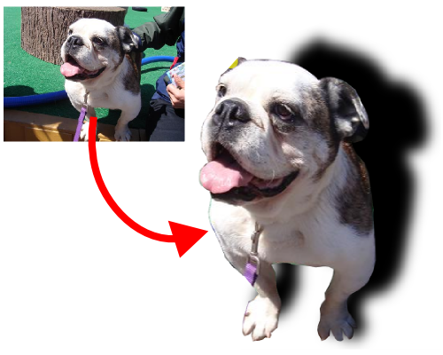 �ʐ^��؂蔲��