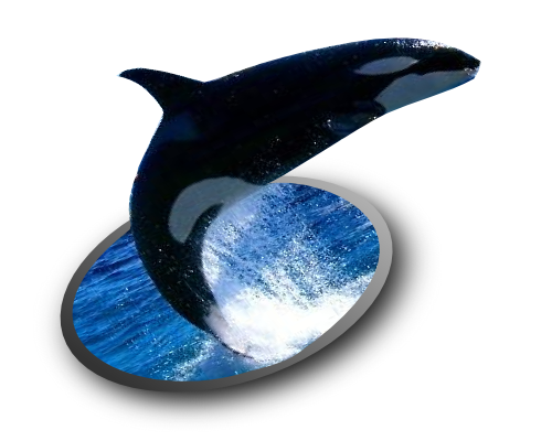 ��яo���ʐ^