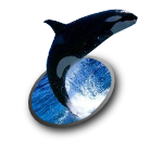 ��яo���ʐ^