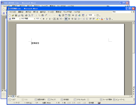 Word�ɂ�����E�B���h�E