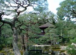 ��t���Ƌы��r�̎ʐ^