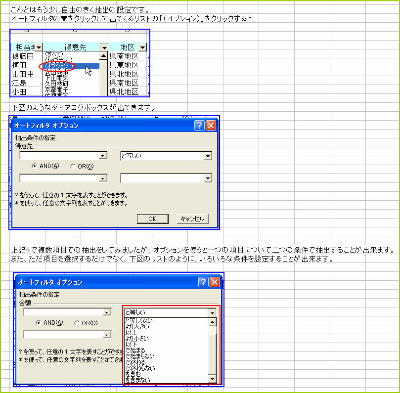 �I�[�g�t�B���^�̃I�v�V�����ɂ�钊�o