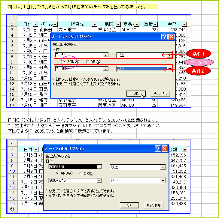 �I�[�g�t�B���^�̃I�v�V�����@������Ԃ𒊏o