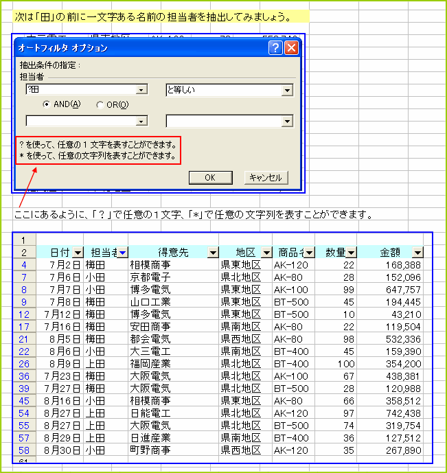 �I�[�g�t�B���^�̃I�v�V�����@���C���h�J�[�h���g�p