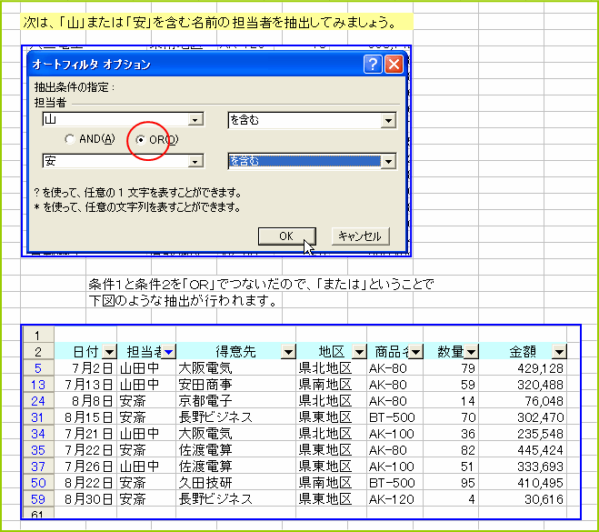 �I�[�g�t�B���^�̃I�v�V�����@OR���g����