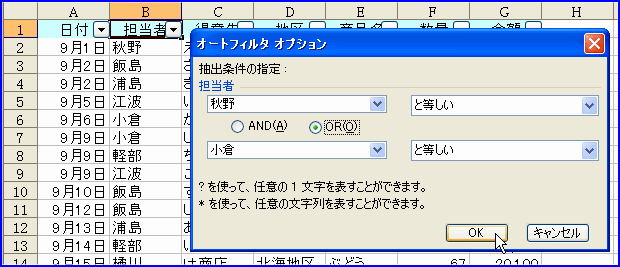 �I�[�g�t�B���^�̃I�v�V����